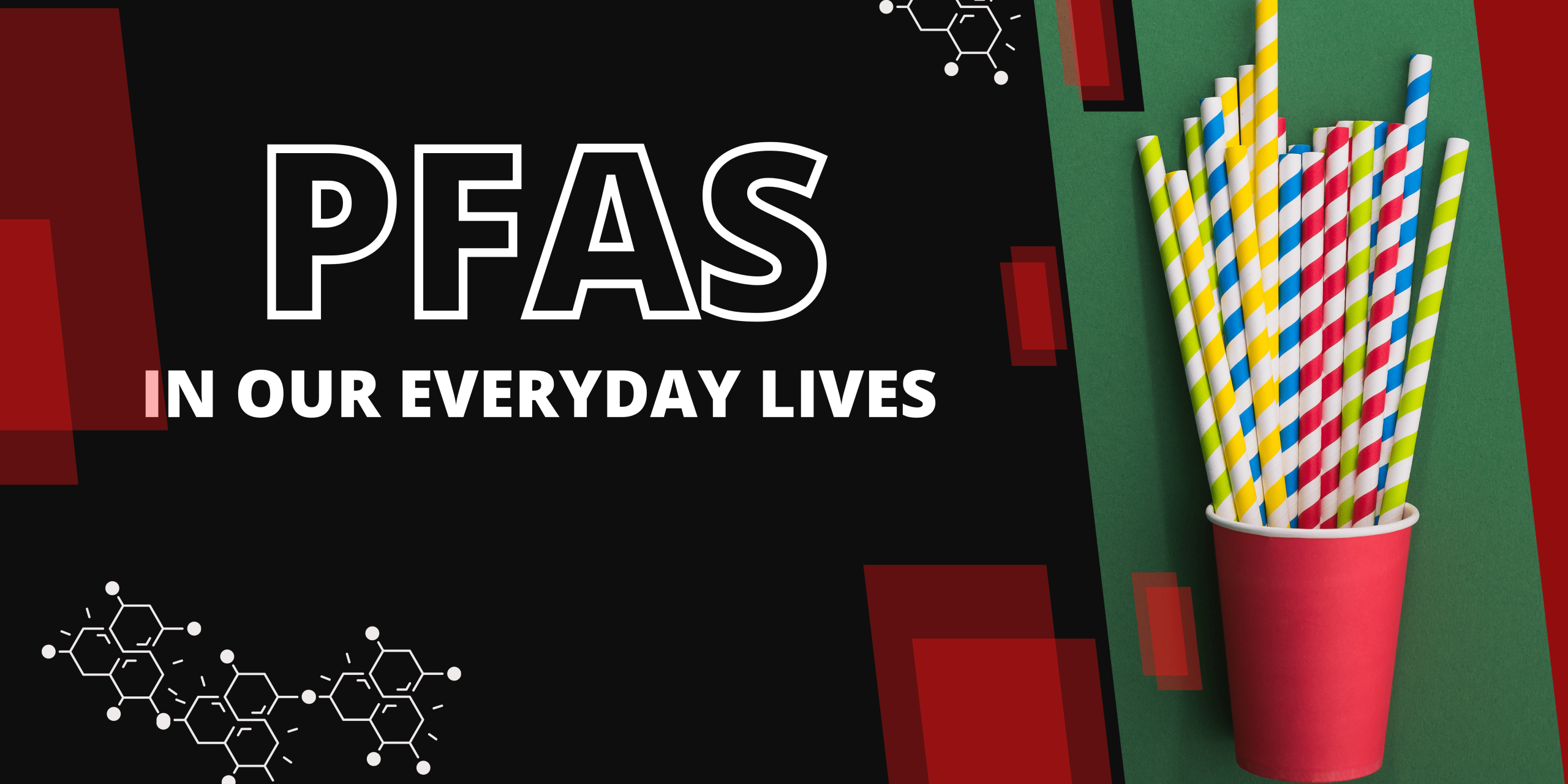 PFAS and the Invisible Danger: Why Natural Straws are the Healthy Answer